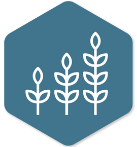 icon of growing plant